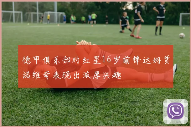 德甲俱乐部对红星16岁前锋达姆贾诺维奇表现出浓厚兴趣